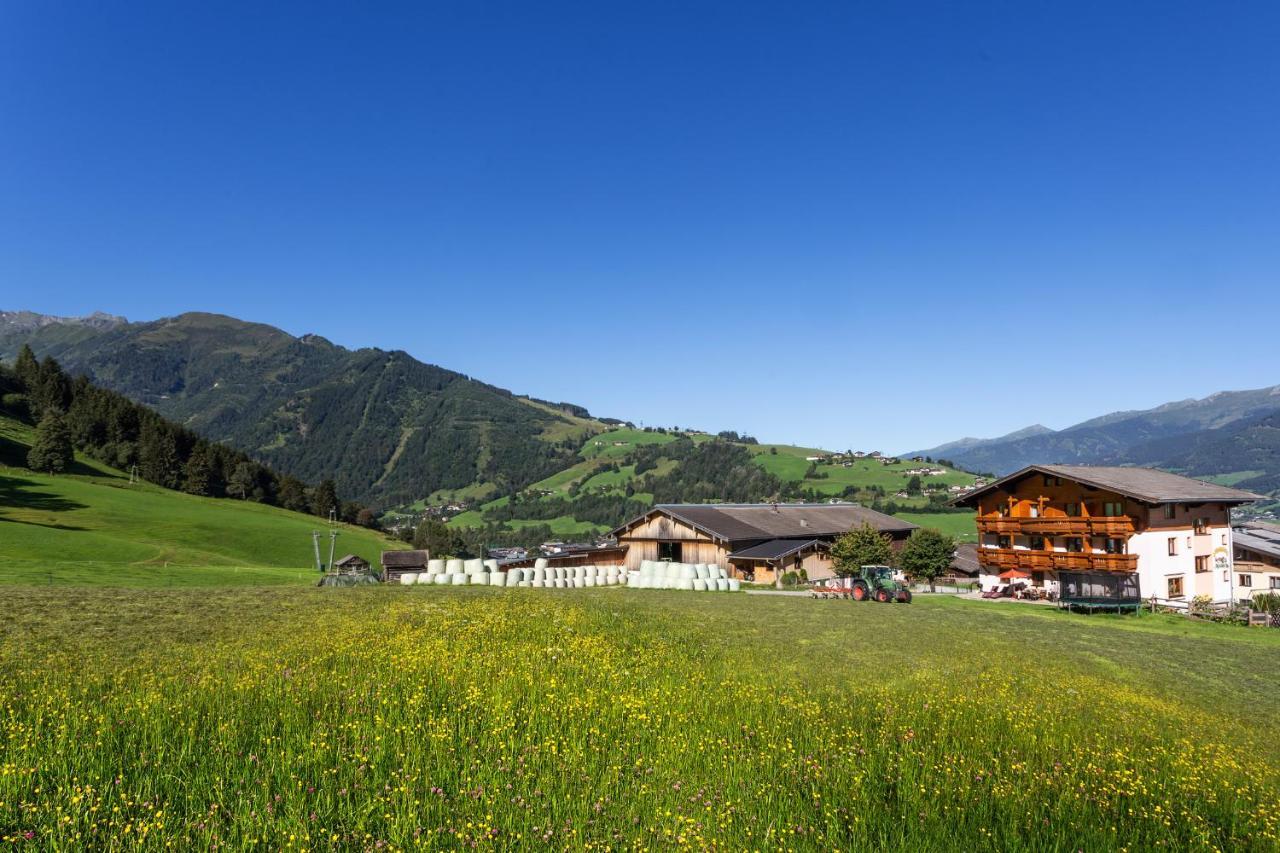 Séjour à la ferme Oberlehenhof *