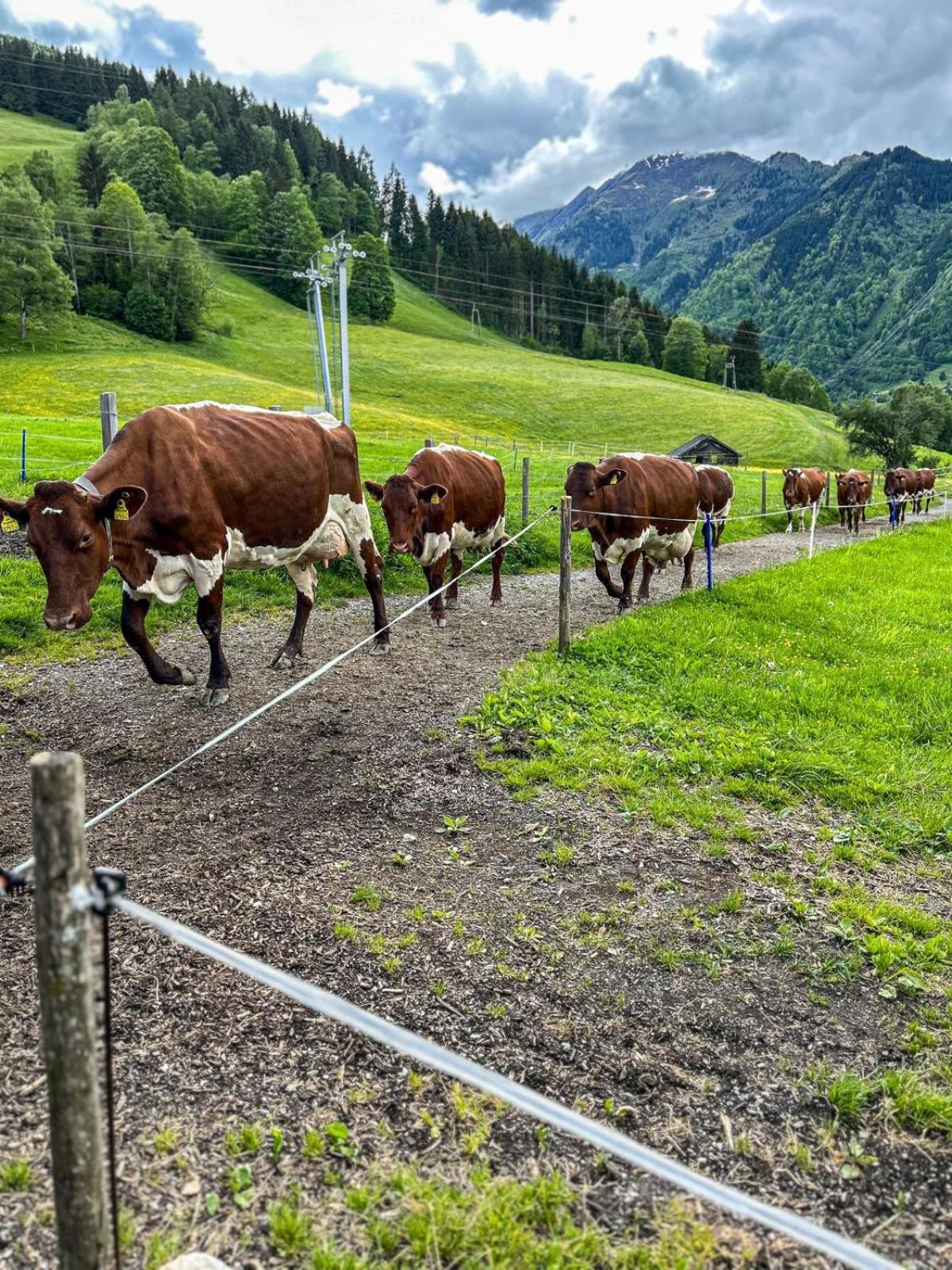 Oberlehenhof Kaprun